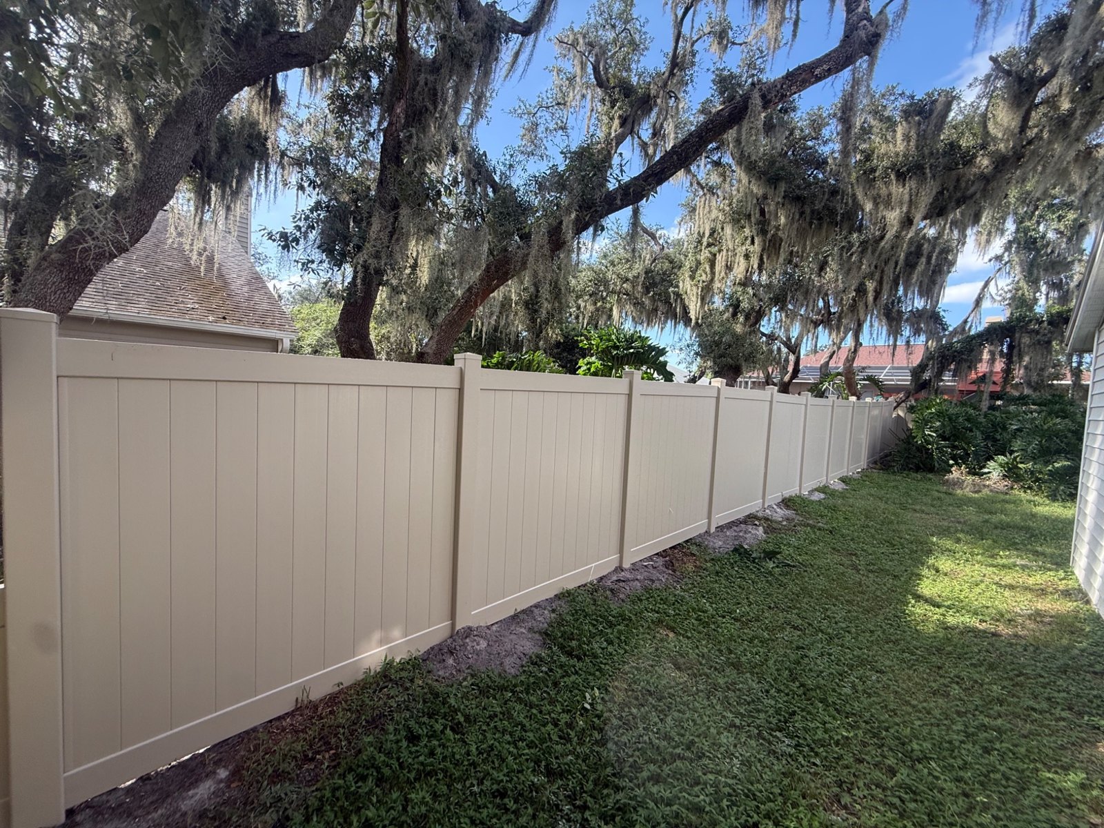 Vinyl privacy fence beneath mature oak trees